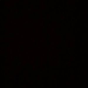 Meet your Posher, Lexy